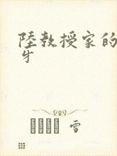 陆教授家的小月牙