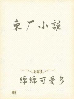 东厂小说
