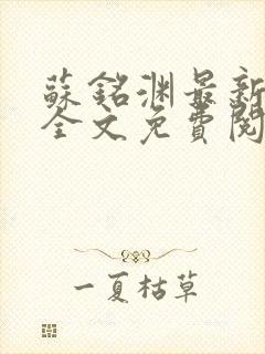 苏铭渊最新章节全文免费阅读封面