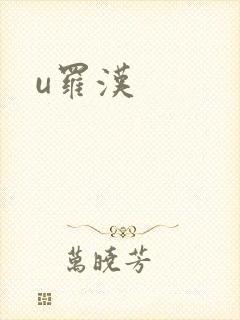 u罗汉封面