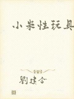 小米性玩具日记