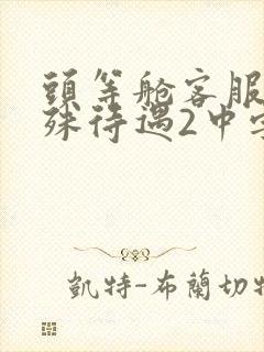 头等舱客服的特殊待遇2中字