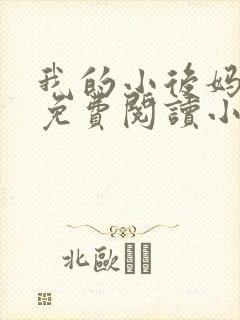 我的小后妈全文免费阅读小说