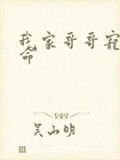 我家哥哥宠妹如命封面