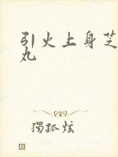 引火上身芝麻糖丸封面