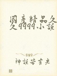 国产精品久久久久9999小说