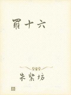 罗十六