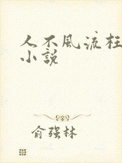 人不风流枉少年小说