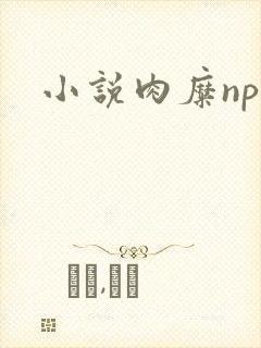 小说肉糜np