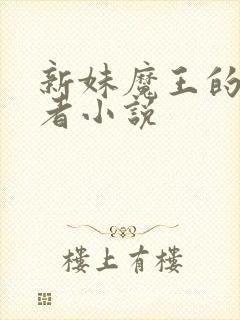 新妹魔王的契约者小说