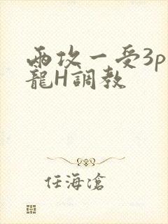 两攻一受3p双龙H调教