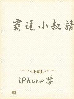 霸道小叔请轻撩