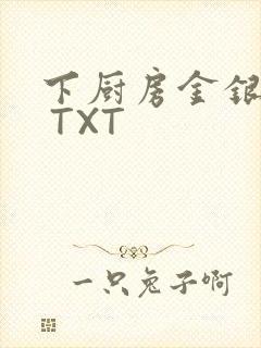 下厨房金银花露 TXT