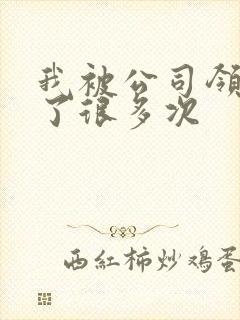 我被公司领导C了很多次