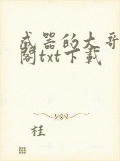 成器的大哥笔趣阁txt下载