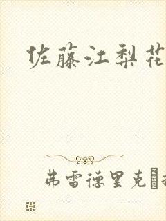 佐藤江梨花封面