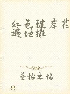 红色彼岸花花瓣遍地撒