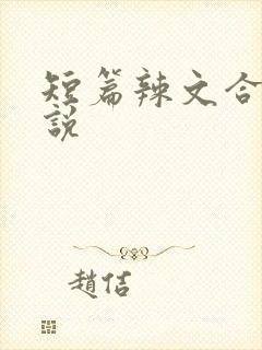 短篇辣文合集小说