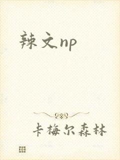 辣文np封面