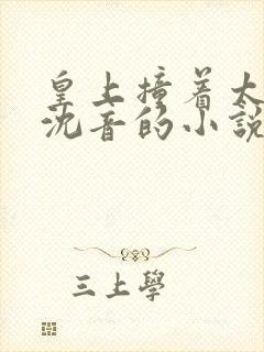 皇上撞着太子妃沈音的小说叫什么封面