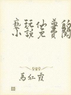 亵玩仙尊的道侣小说免费阅读