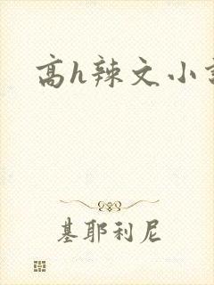 高h辣文小说封面