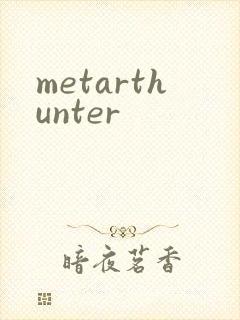 metarthunter封面