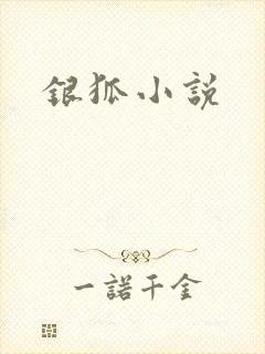 银狐小说