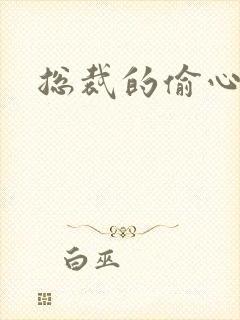 总裁的偷心娇妻