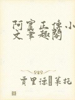 阿宾正传小说全文笔趣阁