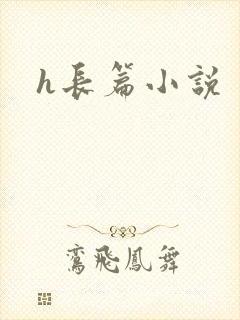 h长篇小说