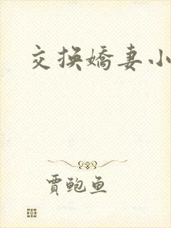 交换娇妻小说