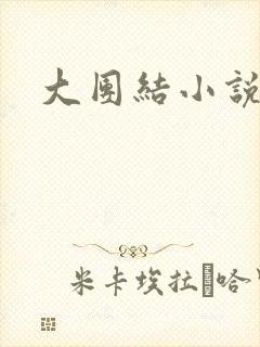 大团结小说全文封面