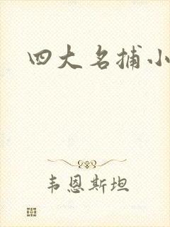 四大名捕小说