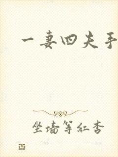 一妻四夫手记
