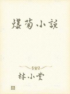 爆菊小说