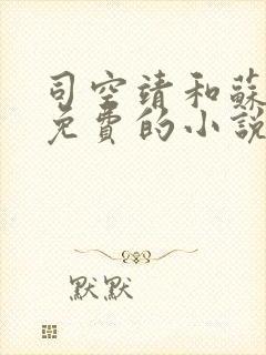 司空靖和苏月汐免费的小说笔趣阁封面