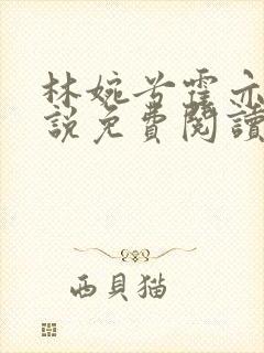 林婉兮霍亦铭小说免费阅读