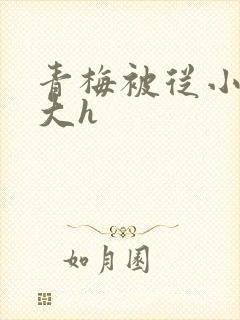 青梅被从小摸到大h封面