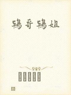 鸨哥鸨姐