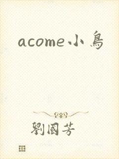 acome小鸟