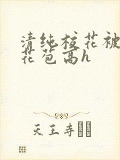 清纯校花被迫开花苞高h