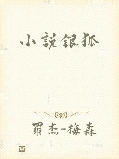 小说银狐