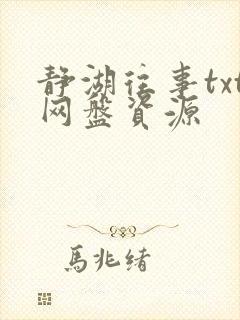 静湖往事txt网盘资源封面