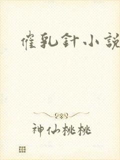 催乳针小说