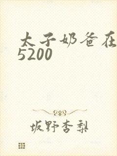 太子奶爸在花都5200封面