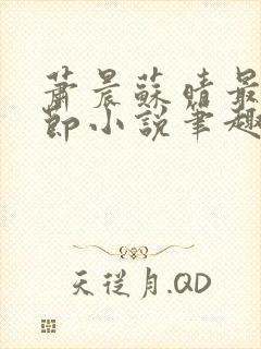 萧晨苏晴最新章节小说笔趣阁