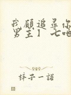 我愿追寻你【双男主】 七吔封面