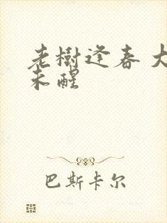 老树逢春 大梦未醒封面