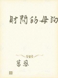 财阀的母狗们